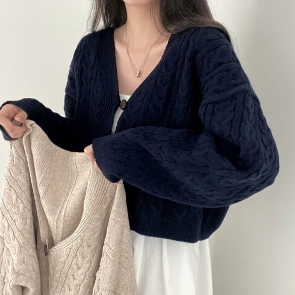 product_etc133_1695123063_7371.jpg