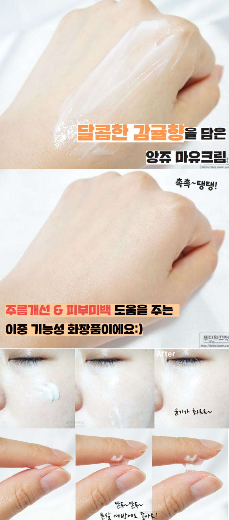 product_etc101_1725352915_2746.jpg