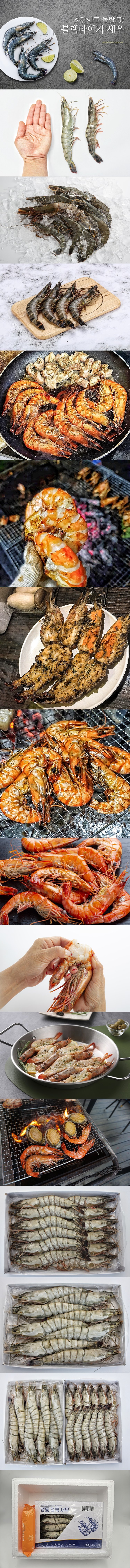 product_etc275_1725342801_193.jpg