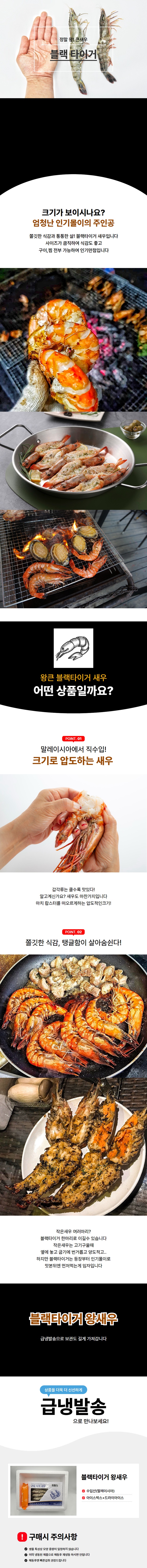 product_etc635_1725342841_9043.jpg