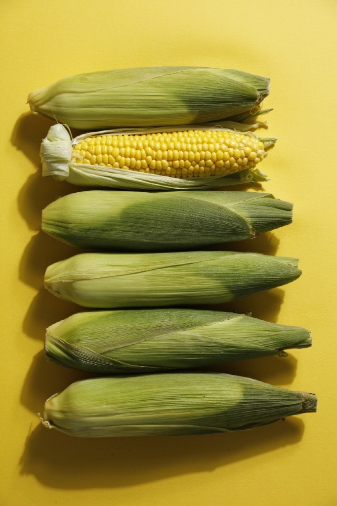 product_etc314_1749908245_9157.jpg