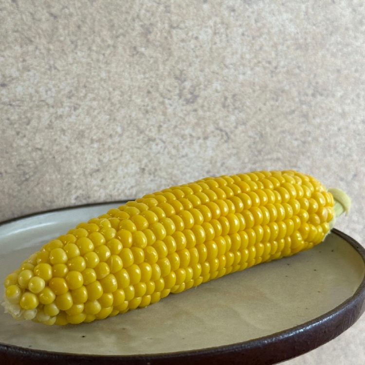 product_etc619_1749908245_7449.jpg