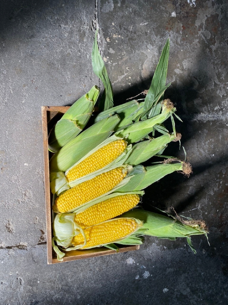 product_etc963_1749908263_5569.jpg