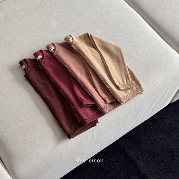 product_etc100_1752538771_3507.jpg