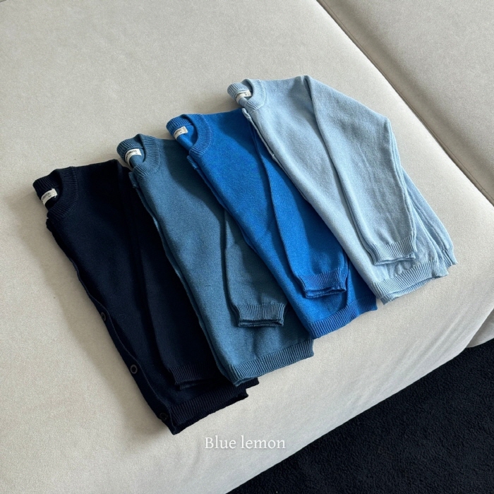 product_etc787_1752538781_5204.jpg